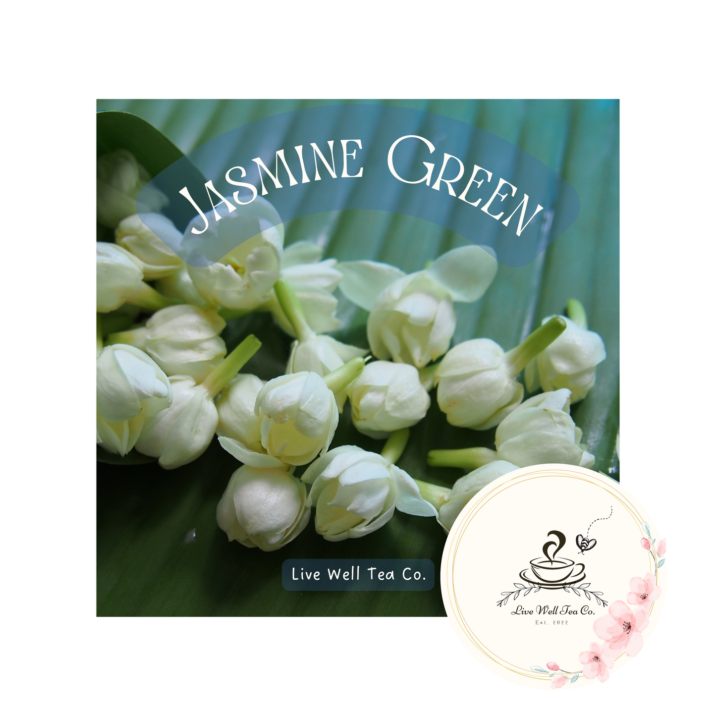 Jasmine Green