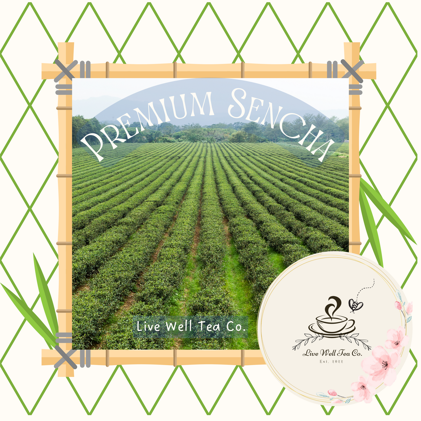 Premium Sencha